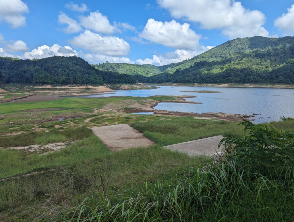 small body of water surrounded by lush green grass