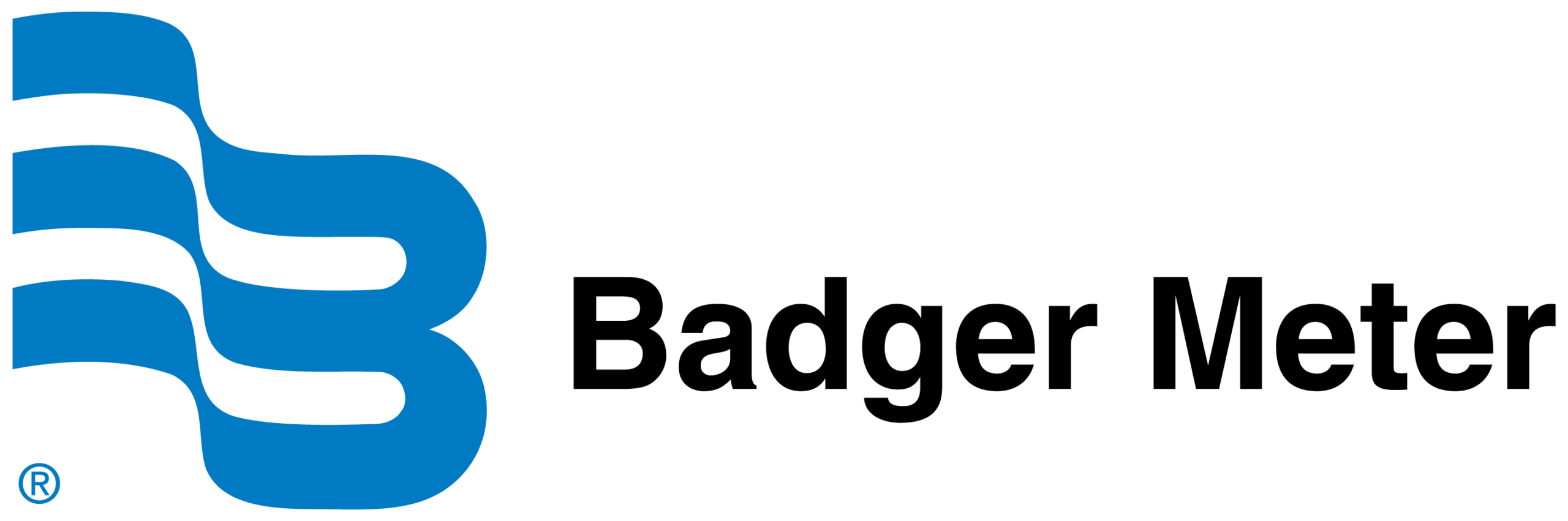 BadgerMeterHorizontal