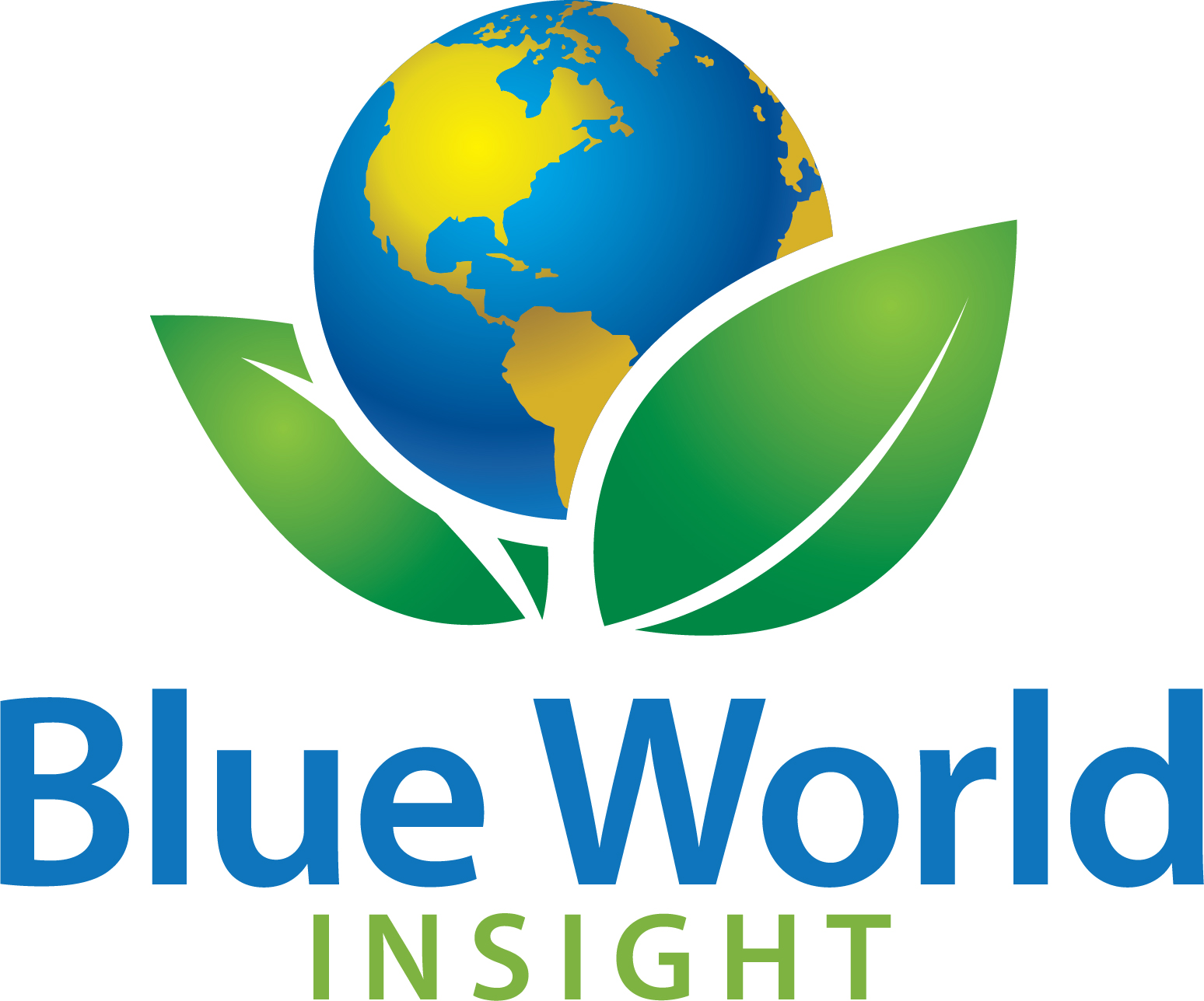 Blue World Insight LLC
