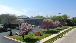 one-story building with parking lot and trees with buds in front