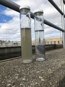 Two tubes of water on the ground. One has murky gray water and the other has clean water.