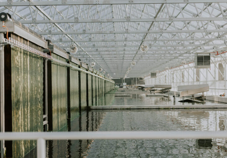 wastewater treatment plant unit