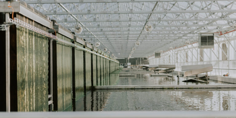 wastewater treatment plant unit